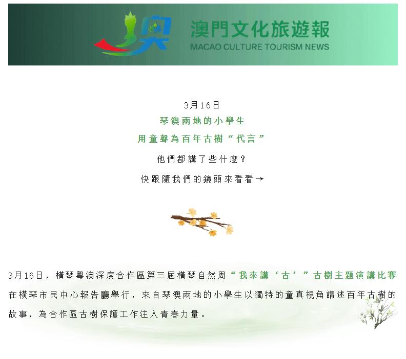 這些“童聲”獲獎啦!琴澳60名萌娃同場競技,為古樹保護打call