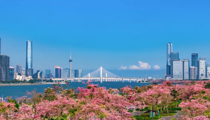 橫琴粵澳深度合作區建設三年成效