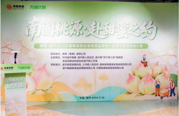 連平鷹嘴蜜桃正式進入澳門市場